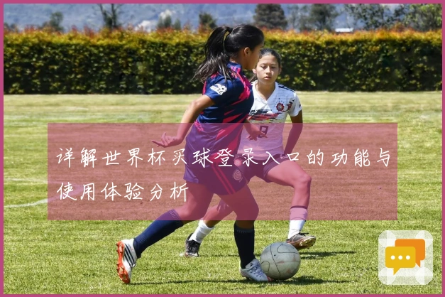 详解世界杯买球登录入口的功能与使用体验分析