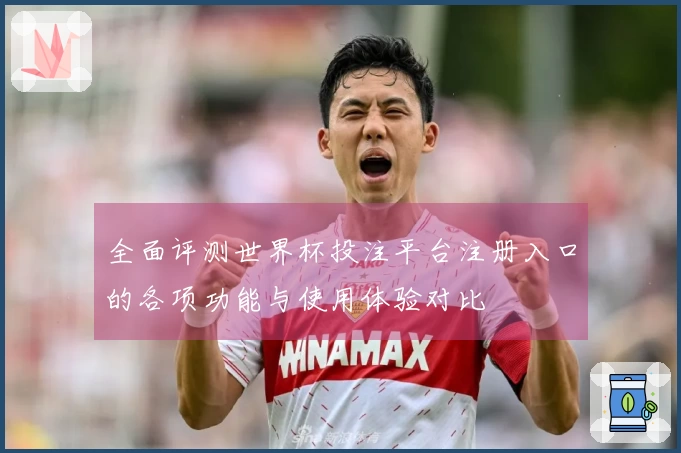 全面评测世界杯投注平台注册入口的各项功能与使用体验对比