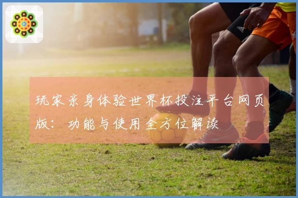 玩家亲身体验世界杯投注平台网页版：功能与使用全方位解读