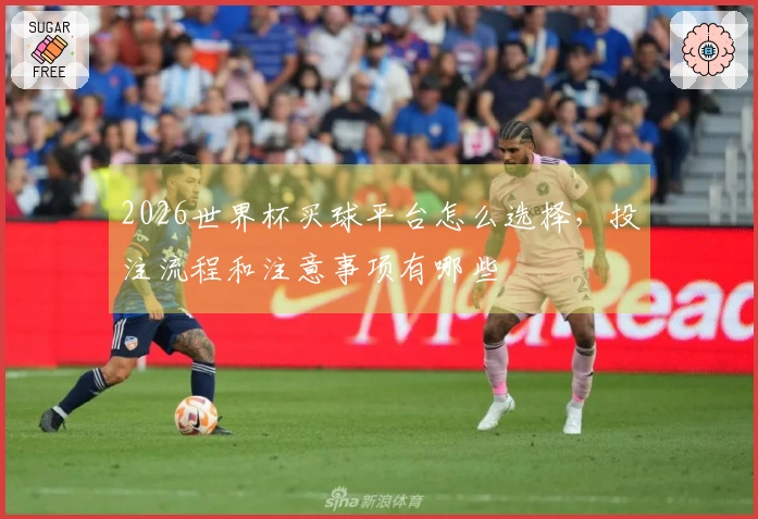 2026世界杯买球平台怎么选择，投注流程和注意事项有哪些