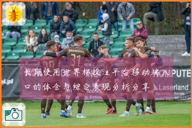 长期使用世界杯投注平台移动端入口的体会与综合表现分析分享