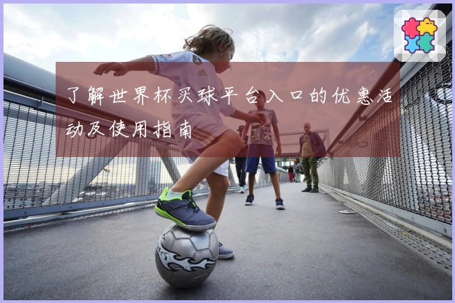 了解世界杯买球平台入口的优惠活动及使用指南