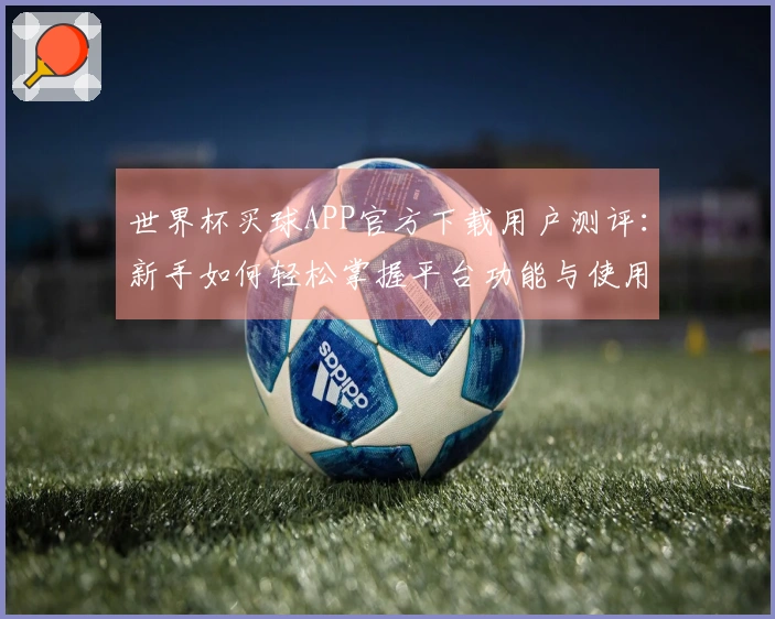 世界杯买球APP官方下载用户测评：新手如何轻松掌握平台功能与使用体验