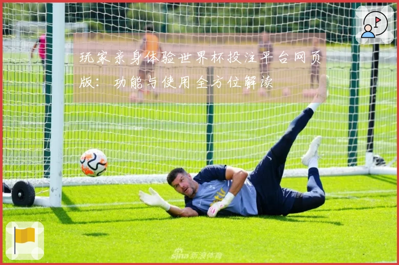 玩家亲身体验世界杯投注平台网页版：功能与使用全方位解读