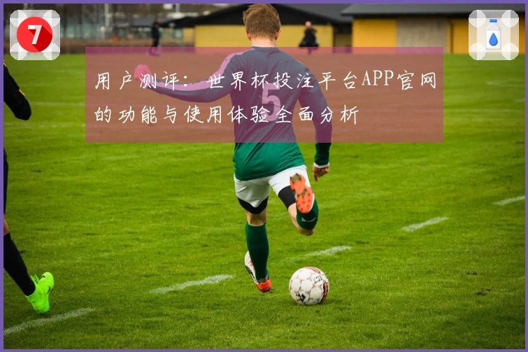 用户测评：世界杯投注平台APP官网的功能与使用体验全面分析