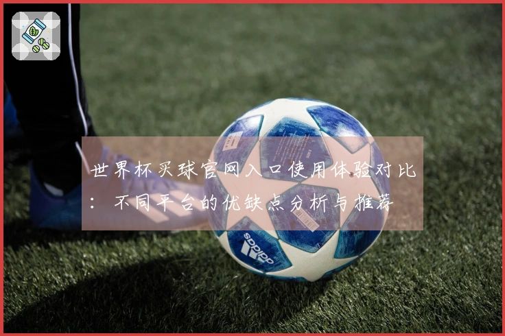 世界杯买球官网入口使用体验对比：不同平台的优缺点分析与推荐