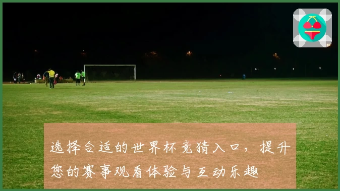 选择合适的世界杯竞猜入口，提升您的赛事观看体验与互动乐趣