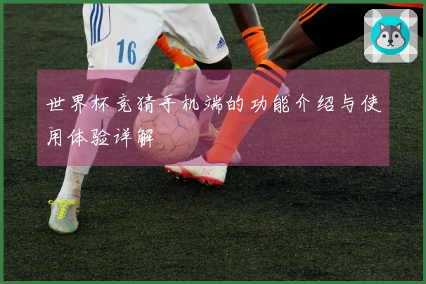 世界杯竞猜手机端的功能介绍与使用体验详解