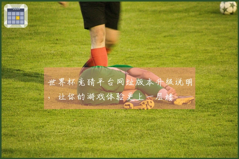 世界杯竞猜平台网址版本升级说明，让你的游戏体验更上一层楼