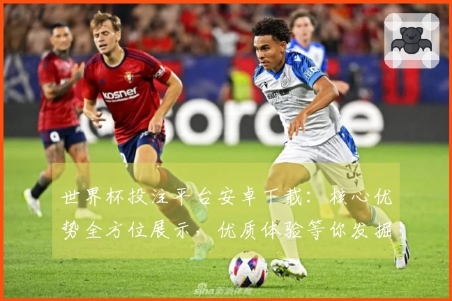 世界杯投注平台安卓下载：核心优势全方位展示，优质体验等你发掘