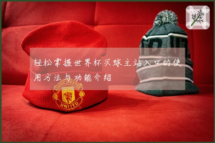 轻松掌握世界杯买球主站入口的使用方法与功能介绍