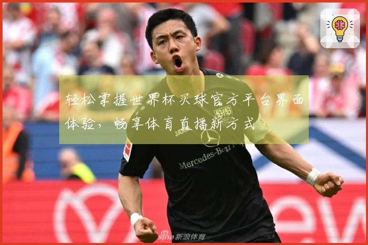 轻松掌握世界杯买球官方平台界面体验，畅享体育直播新方式