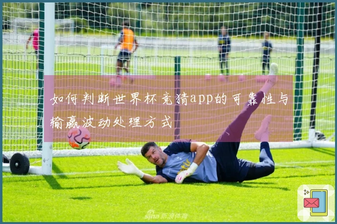 如何判断世界杯竞猜app的可靠性与输赢波动处理方式