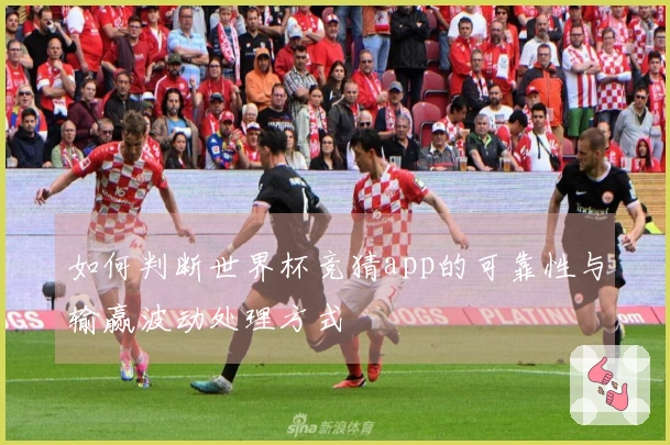 如何判断世界杯竞猜app的可靠性与输赢波动处理方式