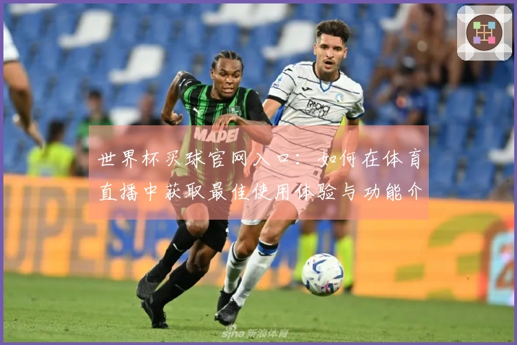 世界杯买球官网入口：如何在体育直播中获取最佳使用体验与功能介绍