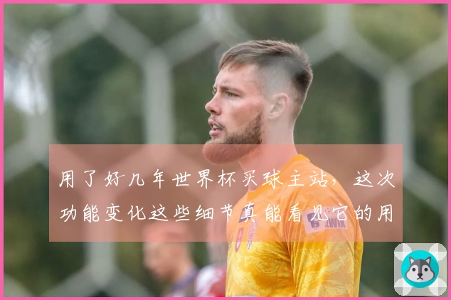 用了好几年世界杯买球主站，这次功能变化这些细节真能看见它的用心之处